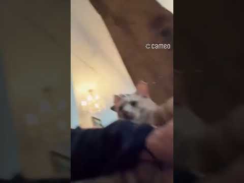 My Cameo from Gina Gershon!!