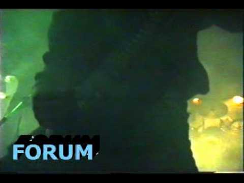 Forum - Zpitej jak dán