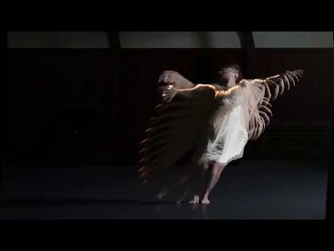 Canibus /\ Cambatta, Pineal ∞ Alchemy  (unofficial music video)