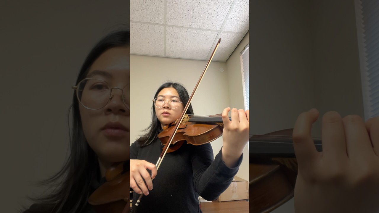 Promotional video thumbnail 2 for Classical violin and pop performances