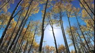 SUMERGEME (Marcos Witt)