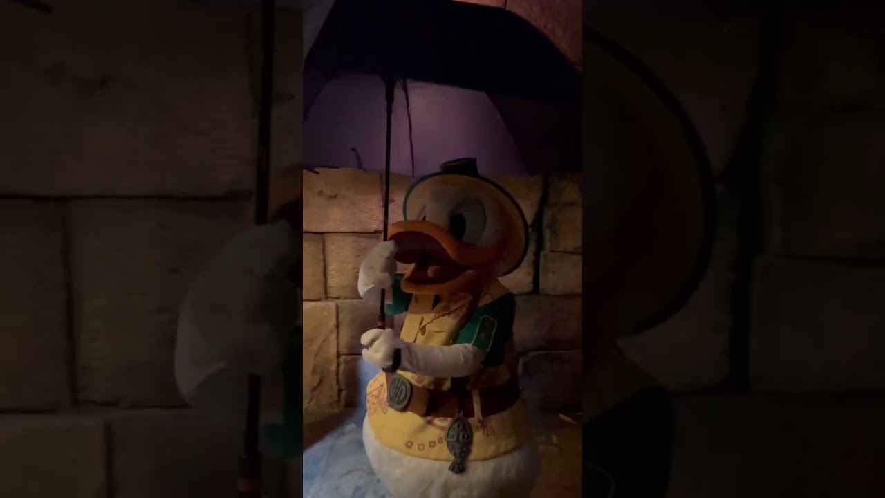 ディズニー　傘をさすかわいいドナルド