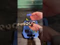 Fuel Line Disconnect Set