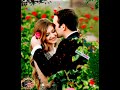 Phool Mangu Na Bahar Mangu Whatsapp Status Video Shorts