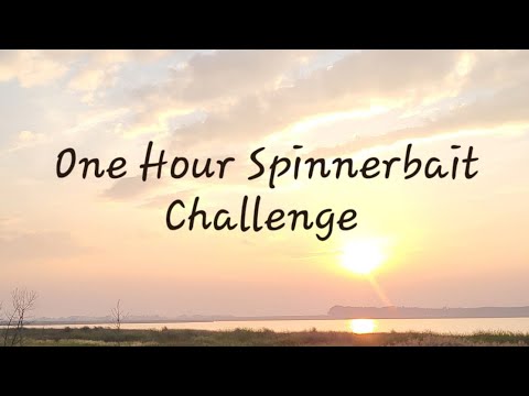 One Hour Spinnerbait Challenge.