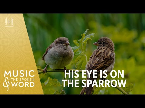 02/08/26 | His Eye Is on the Sparrow #5030 Music & the Spoken Word | The Tabernacle Choir
