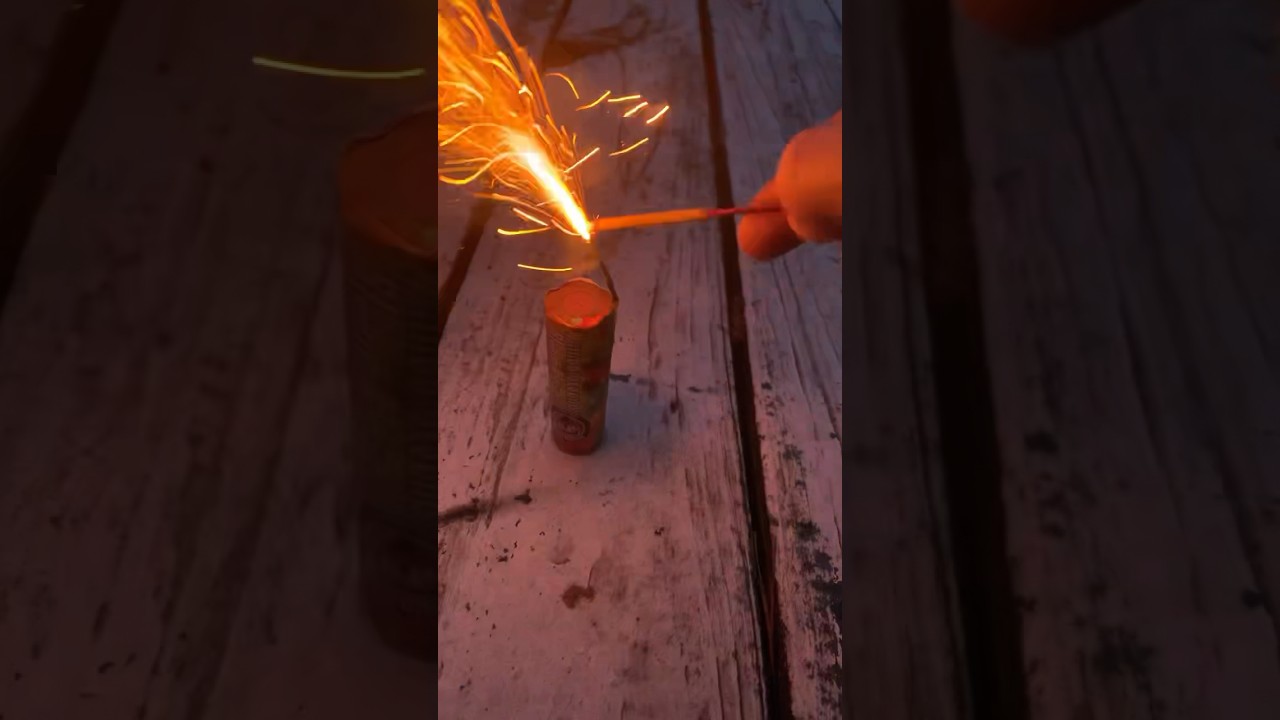 Jumbo ground bloom flower