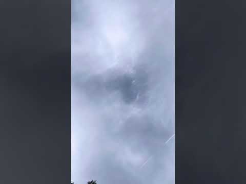 Trying to be the cool dad and jumped from the trampoline and missed the pool