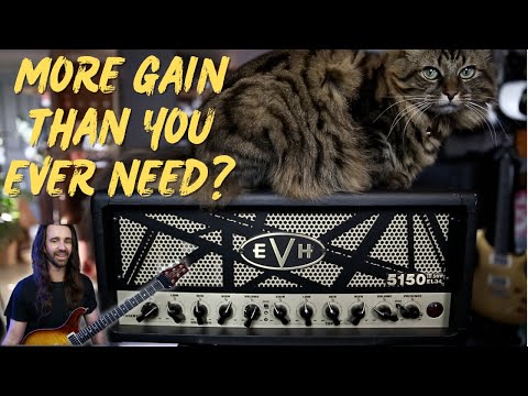 Does This Amp Have TOO MUCH Gain? | EVH 5150 III EL34