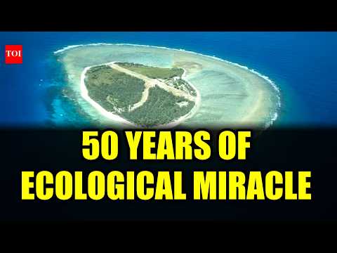 From Barren to Paradise: The 50-Year Revival of Lady Elliot Island