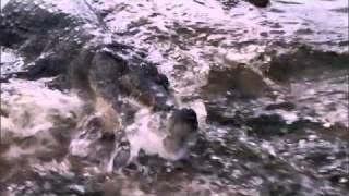 Sprectrasoul   Lost Disciple