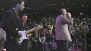 Fabulous Thunderbirds - She&#39;s Tuff