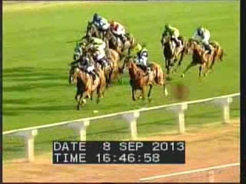 Borrowdale 8 September 2013, Race 7