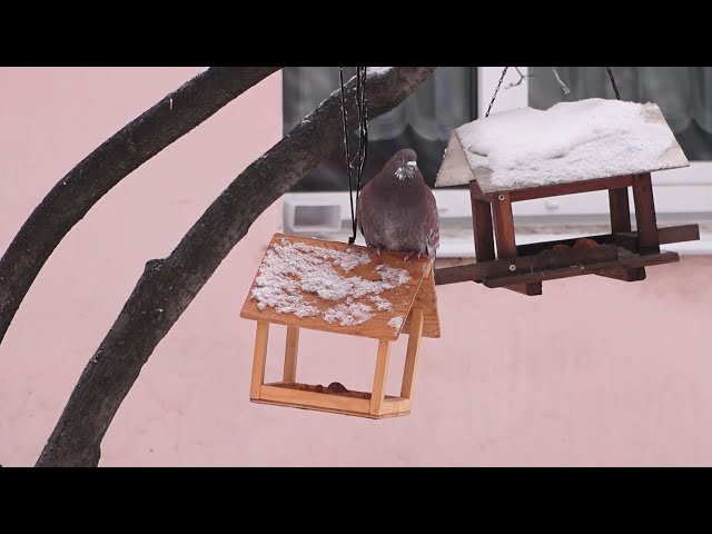 На телеканале «АКТИС» продолжается проект «Город моего сердца»