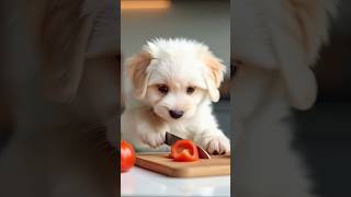 Download lagu https://youtu.be/PQCO23d7eT8?si=gmEWymO9LGRFE5YT. watch the full video ❤️😍 #dog #cute #puppy #shorts mp3 Download lagu https://youtu.be/PQCO23d7eT8?si=gmEWymO9LGRFE5YT. watch the full video ❤️😍 #dog #cute #puppy #shorts mp3