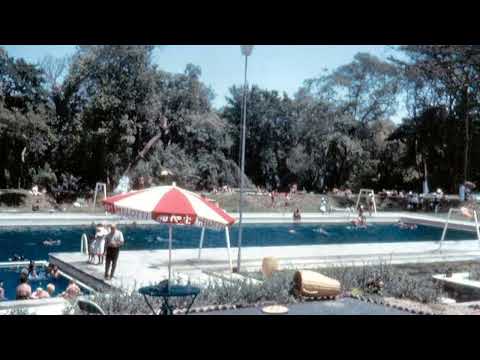 easy - absynthe minded