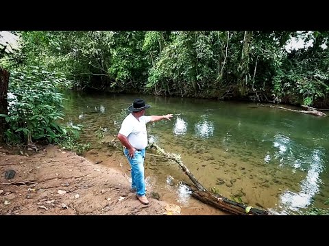 Sítio 2 alqueires Plano com Produção Rico de água "Apenas R$:170 mil" Sete Barras, SP Willian Ricard