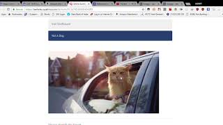 Online Survey Software   Qualtrics Survey Solutions