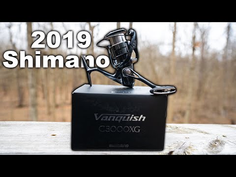 2019 Shimano Vanquish Unboxing And Initial Impressions