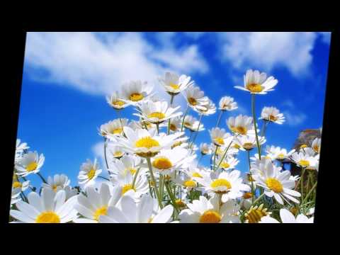 С днём рождения, Наталья М (NM) (Москва)