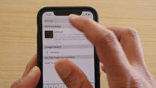 iPhone 11 Pro: How to Enable / Disable Safari Search Engine Suggestions