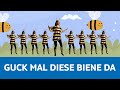 Guck Mal Diese Biene Da Summ Summ - Lichterkinder | Disco & Co | @TUI SUNEO Entertainment