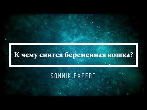 К чему снится беременная кошка - Онлайн Сонник Эксперт