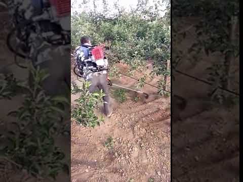 39 SMART PHOTO HACKS AND CREATIVE IDEAS