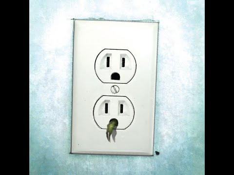 Nekrogoblikon - Nothing But Crickets (Lyrics)