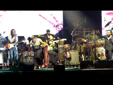 Ziggy Marley Cali Roots 14