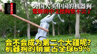 [討論] 中國第二個大疆會是小米電動車還是機器狗