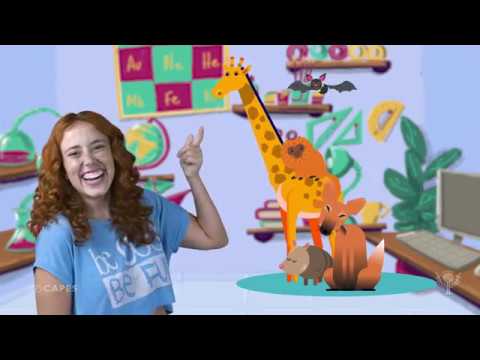 Mamíferos e suas características