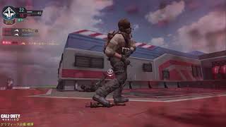 チームメイトを信じて(COD)