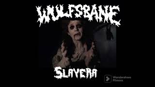 Wulfsbane - Slayera (Blitzkid acoustic cover)