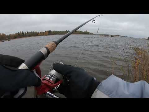 Markus Kalassa - Merikalastus 2019 Tarkka heitto ja ennätyskala koukkuun