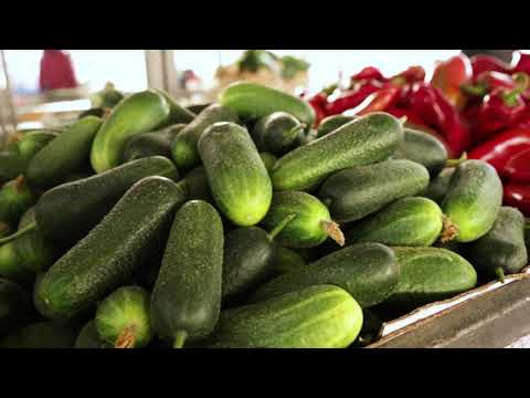 Ceger ep. 429 04.11.2020.