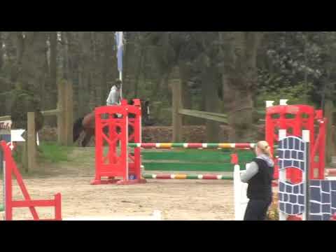 Fellini (v Quasimodo vd Molendreef)