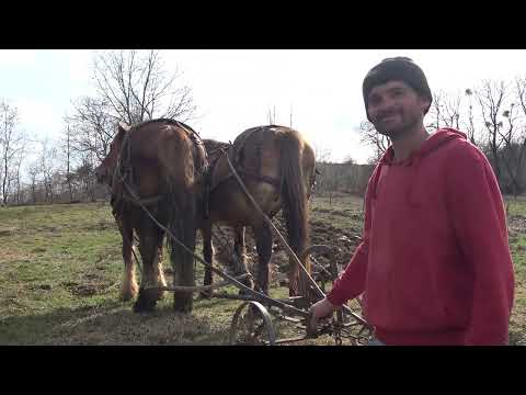 Ilie si Radu muncesc pamantul cu caii - 2023 Nou!!!