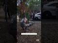 MMA Fighter Wrangles Alligator Off Florida School Grounds #shorts