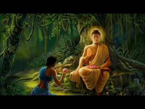 The Backdoor Secret To Becoming A Buddha
