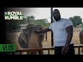 WWE Superstars Explore Riyadh Season Ahead Of Royal Rumble WWE Vlog