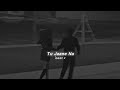 Tu Jaane Na Slowed Reverb
