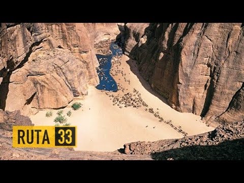 The Garden of Archei, an oasis in the middle of the Sahara Desert | Chad