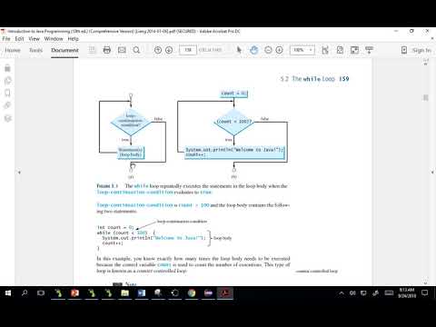 Java Chapter 5 Loops