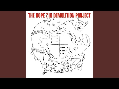 Near the Memorials to Vietnam and Lincoln - PJ Harvey