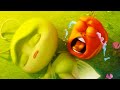 WHAT HAPPENED TO MAYFLY LARVA Cartoons For Kids WildBrain Kids