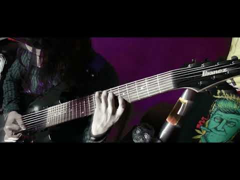 Douchebagz - ''Dimethyltryptamine'' (Guitar Playthrough by Marco Serrano)