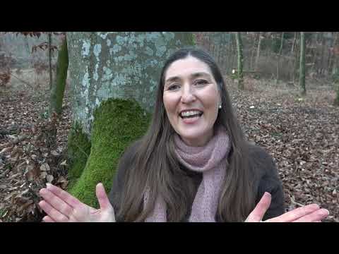 Das Jahreskreisfest Imbolc - Lichtmess- Brigid