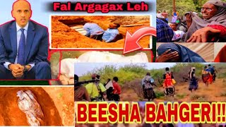 #DEGDEG: #Habargidir oo #baasuukeyaal ladhacday #Bahgari masaajid kujirtay iyo xasuuqa xun e dhacay😭