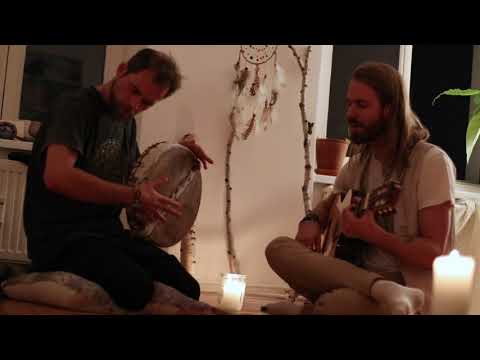 A Energia da Floresta